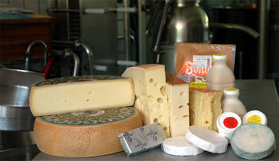 Emmentaler Käse, Hegenloch Bergkäse, Raclette, Fondue und mehr aus der Käserei Hüpfenboden